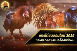 แทงไก่ชนออนไลน์ 2025