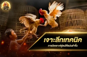 เจาะลึกเทคนิคการวิเคราะห์