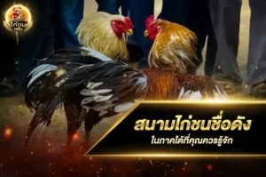 สนามไก่ชนชื่อดังในภาคใต้ที่คุณควรรู้จัก
