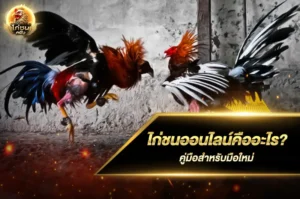 ไก่ชนออนไลน์คืออะไร