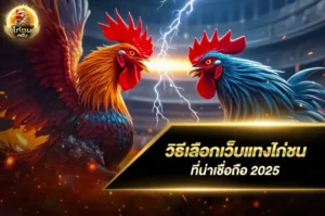 วิธีเลือกเว็บแทงไก่ชน