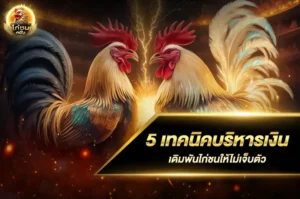 เทคนิคบริหารเงิน