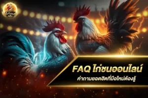 FAQ ไก่ชนออนไลน์
