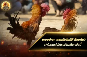ระบบฝาก–ถอนอัตโนมัติ คืออะไร