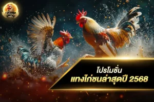 โปรโมชั่นแทงไก่ชนล่าสุดปี 2568