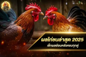 ผลไก่ชนล่าสุด 2025