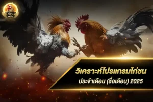 วิเคราะห์โปรแกรมไก่ชน